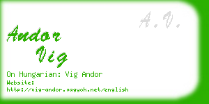 andor vig business card